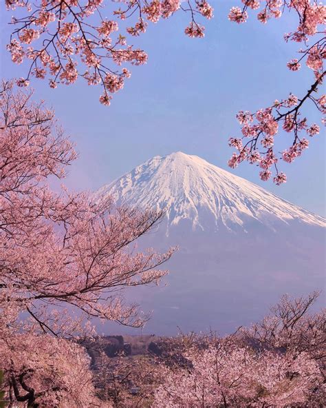 Amazing Nature Photography in Japan by Makiko Samejima | 美しい場所, 美しい風景, 風景