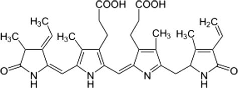 3 Structure of phycoerythrin. | Download Scientific Diagram