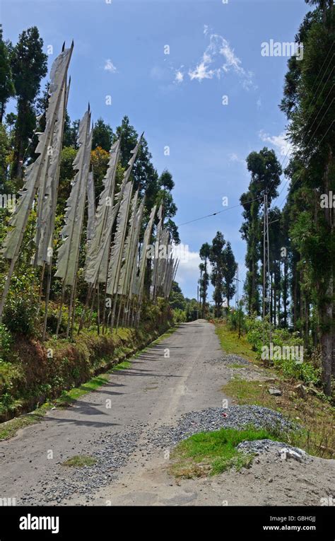 Landscape from Kaluk, West Sikkim, India Stock Photo - Alamy