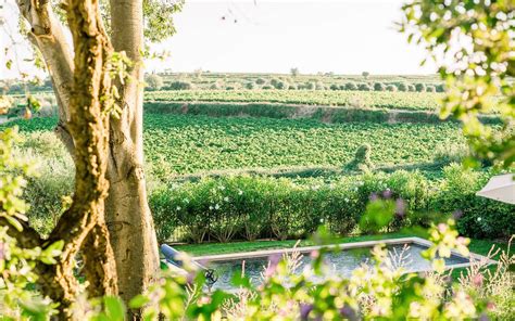 ~ Wines & The Vineyards | Languedoc Wine Tours | St Pierre de Serjac