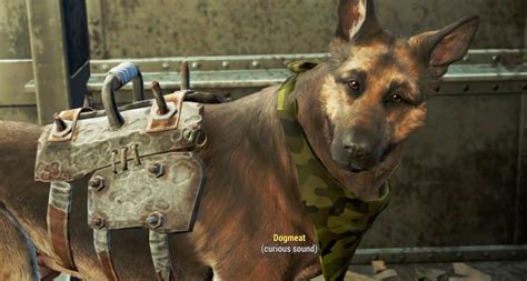 Fallout 4: scomparsa River, il cane che ispirò Dogmeat