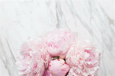 HD wallpaper: flowers, buds, peony, bouquet of peonies | Wallpaper Flare