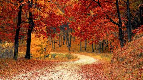 Fondos De Naturaleza - Con la naturaleza como espectacular protagonista y abarcando una amplia ...