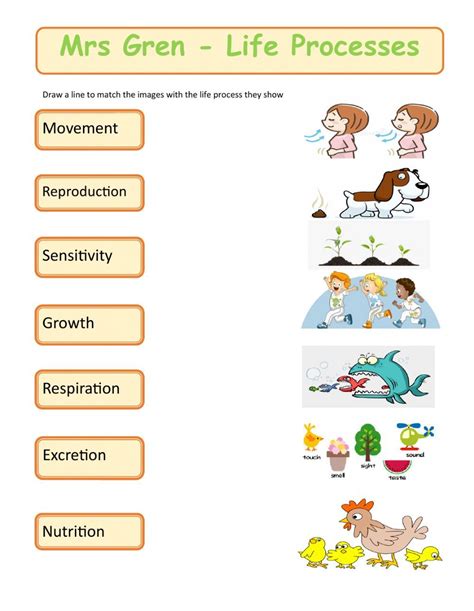 Mrs Gren - Life Processes worksheet | School coloring pages, Free ...