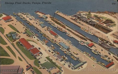 Shrimp Fleet Docks Tampa, FL Postcard