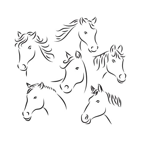 Horse Head sketch. Animal line art style. Horse head icon. Horse head vector illustration. Horse ...