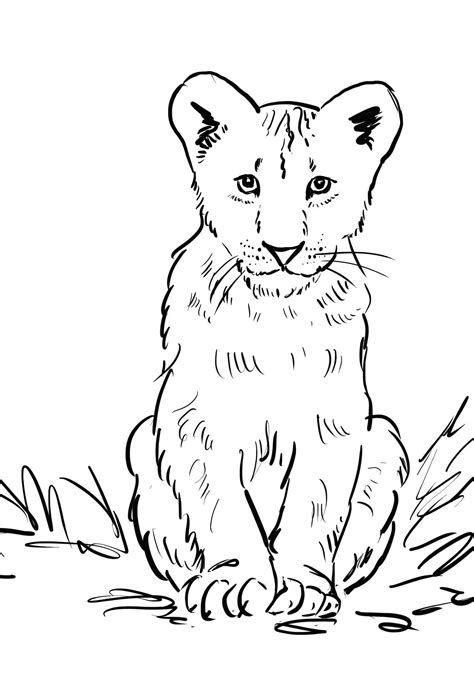 Lion Cub Pages Realistic Coloring Pages