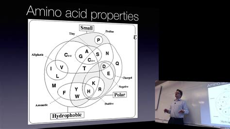 Biophysical Chemistry 2018 - Lecture 2 - YouTube