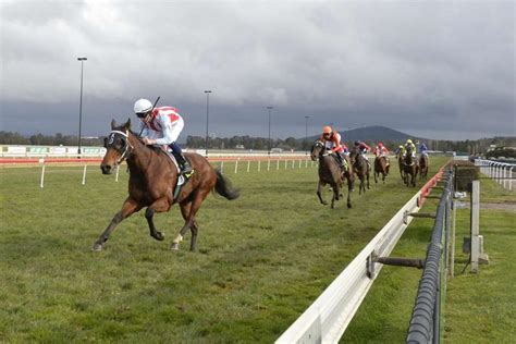 Home of Canberra racing - Thoroughbred Park