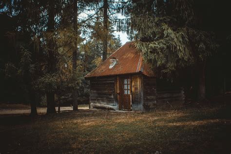 Wooden House on a Forest · Free Stock Photo