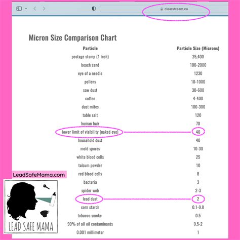 Micron Size Comparison Chart: How Big Is Lead Dust Compared, 45% OFF