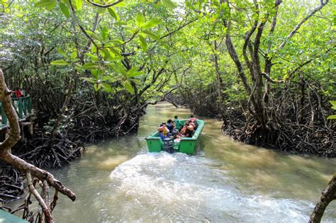 Visiting the Limestone Caves at Baratang with Kids - Things to know!