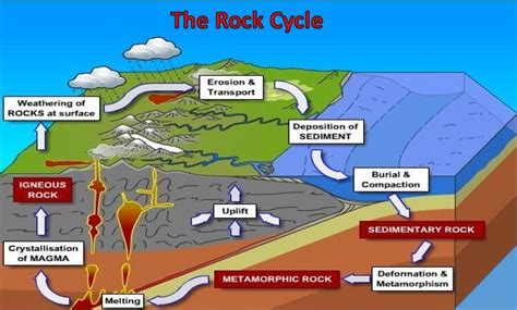 31 Label The Rock Cycle Diagram - Labels Database 2020