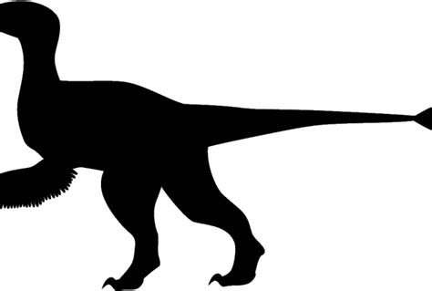 Download Velociraptor Clipart Dinosaur Silhouette - Velociraptor ...