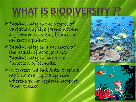 PPT - CONSERVATION OF BIODIVERSITY PowerPoint Presentation, free download - ID:2218816