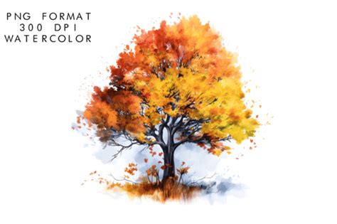 Watercolor Autumn Tree Clipart Graphic by WatercolorByKr · Creative Fabrica