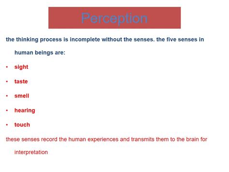 The Study of Human Perception Senses - 1081 Words | Presentation Example