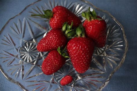 5 Best Strawberry Varieties for Containers (& Where to Get ‘Em) – Bountiful Gardener