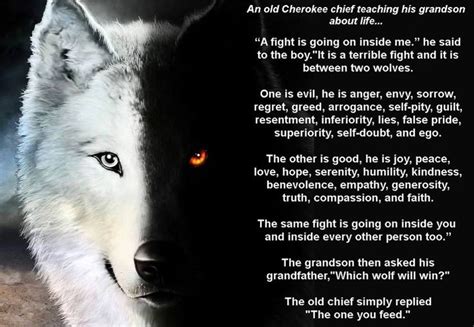 THE TALE OF TWO WOLVES, A BEAUTIFUL NATIVE AMERICAN PARABLE... An old Cherokee chief teaching ...