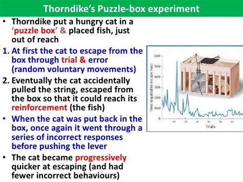 thorndike's work with cat puzzle boxes lead to the - law of effect ...