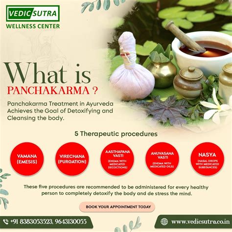 What Is PANCHAKARMA? - Vedic Sutrra Wellness Center