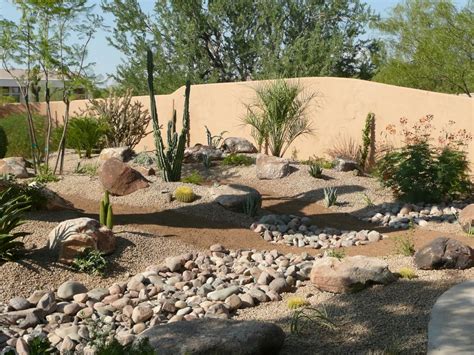 Desert Landscaping here in AZ can be so stunning! | Desert backyard, Rock garden landscaping ...