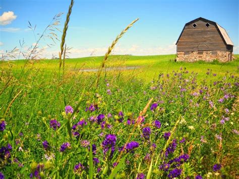 Pin on Beautiful Canada // Magnifique Canada