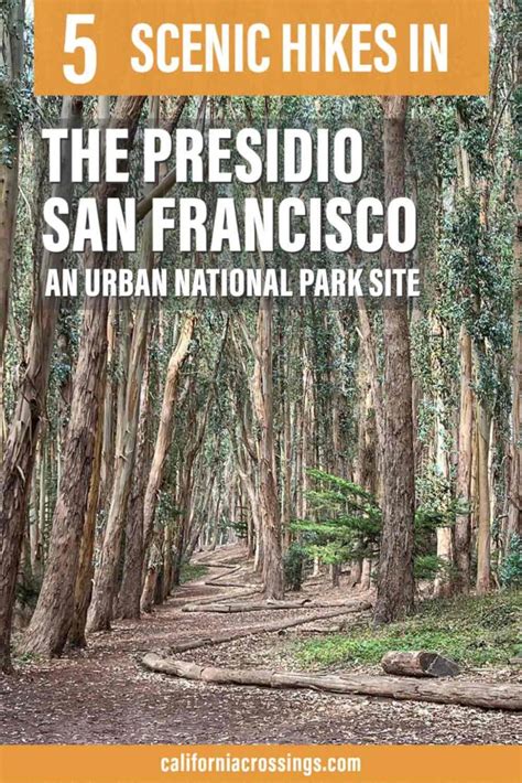 Where to Go Hiking in the Presidio: 5 Top Trails