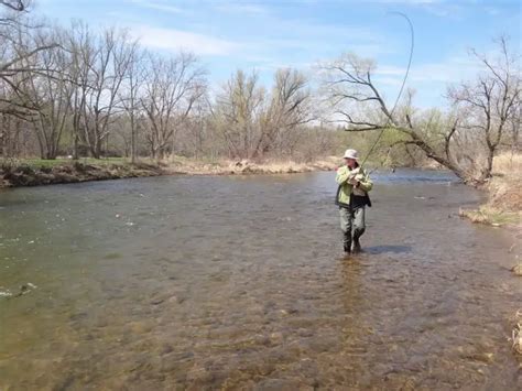 Rocky River Steelhead Fishing: Guide Tips And Advice 2024