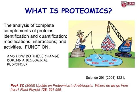 Proteomics Processes and Applications