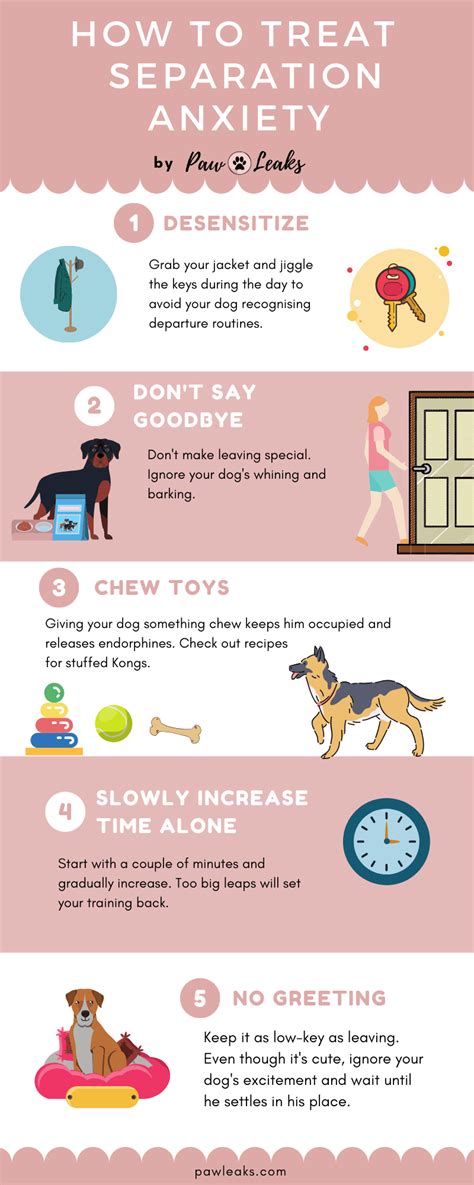 The Complete Guide to Dog Separation Anxiety | PawLeaks