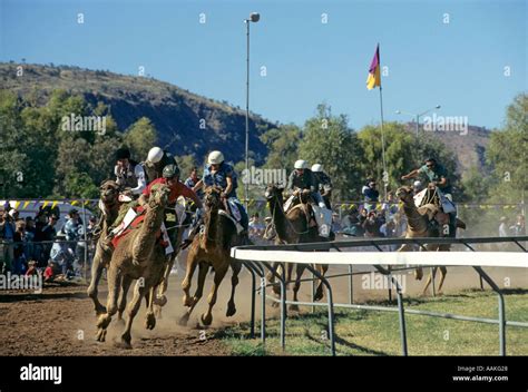 Camel racing Alice Springs Australia Stock Photo - Alamy