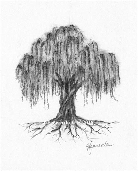 Pencil Drawing Print Willow Roots - Etsy Israel