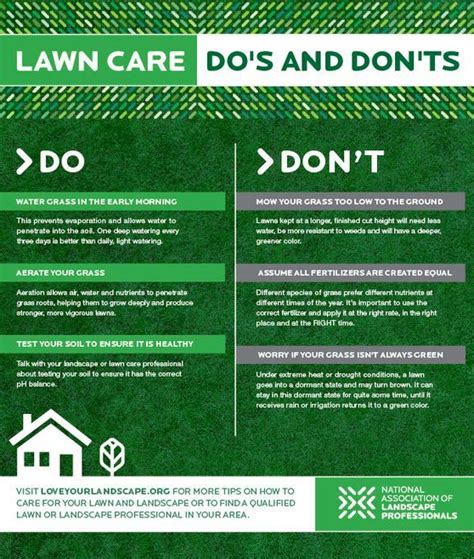 Lawn Care Tips For Ensuring the Best Look of Your Lawn – Landscapes For You