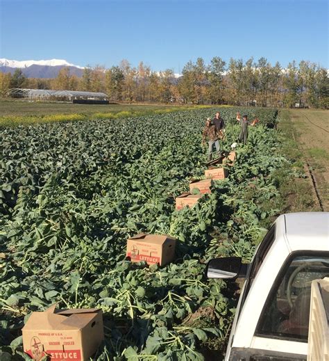 VanderWeele Farms | Palmer Alaska