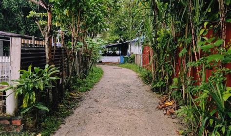 Singapore secrets: A nostalgic stroll through Kampong Lorong Buangkok