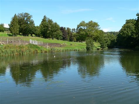 "The Wildlife Park at Cricket St Thomas, Chard, Somerset" by Pat Trout at PicturesofEngland.com