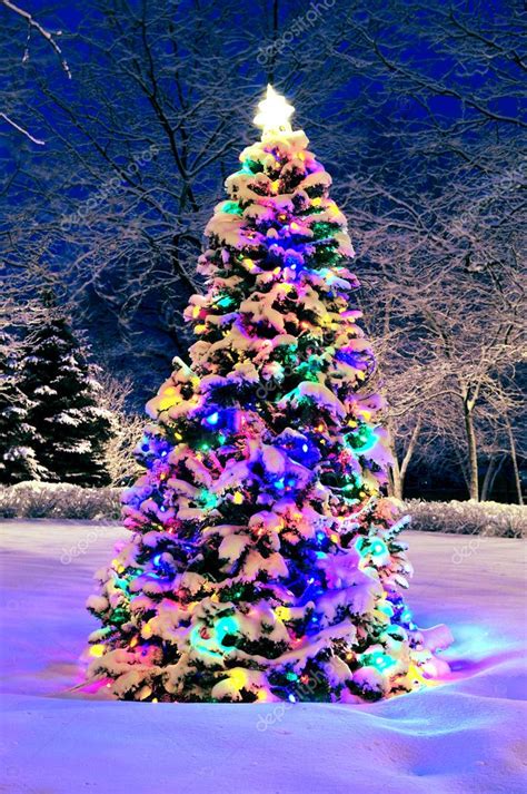 Christmas tree outside Stock Photo by ©elenathewise 4825230