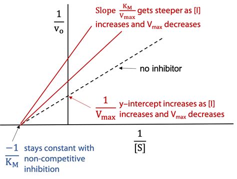 Competitive Inhibition Lineweaver Burk Plot