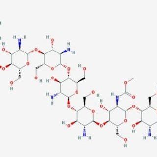 3D structure of chitosan oligomer as a macromolecule | Download ...