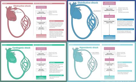 Hypovolemic Shock Pathophysiology