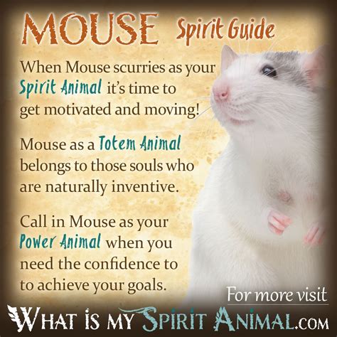 Mouse Symbolism & Meaning | Spirit, Totem & Power Animal