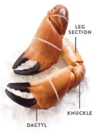 Rock Crab Claws Serving Suggestions - Clearwater