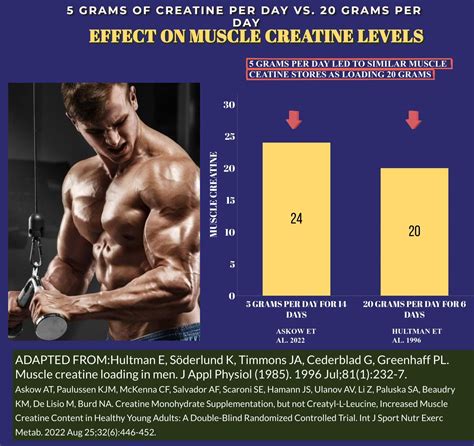 IS CREATINE LOADING PHASE AND CREATINE TIMING NECESSARY FOR MUSCLE GAIN? — EVIDENCE BASED MUSCLE