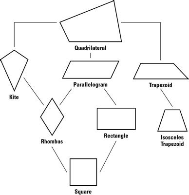 Unit 5. 2D Shape Classification