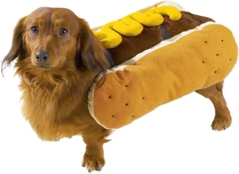 Hot Dog Weiner Dogs | ubicaciondepersonas.cdmx.gob.mx