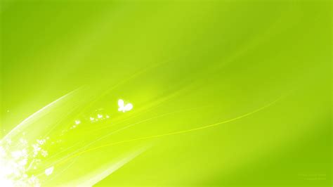 Light Green Wallpapers - Wallpaper Cave