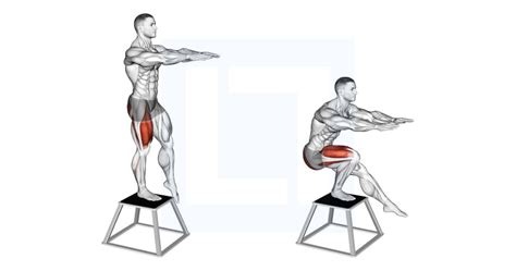 Squat on Bosu Ball - Guide, Benefits, and Form