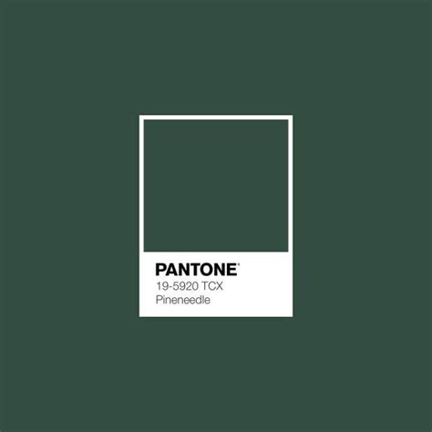 Dark Green Color Trend | Green color trends, Pantone green, Dark green aesthetic