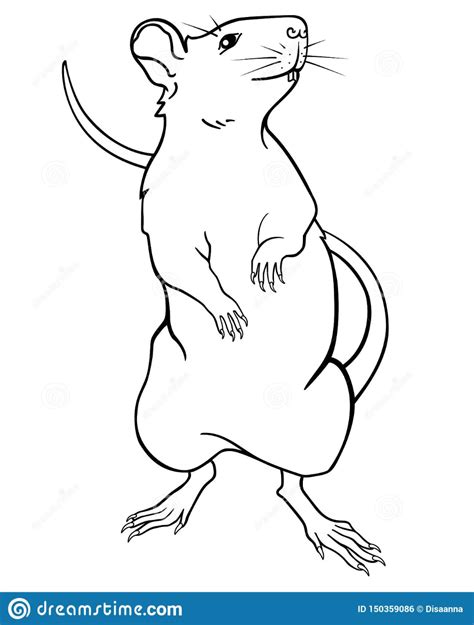 Tattoo Stencil Outline, Outline Drawings, Animal Drawings, Cartoon Rat ...